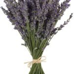 TooGet Natural Lavender Bundles, Freshly Harvested 200+ Stems Dried Lavender Bunch 16