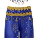 JanJean Kids Girls Belly Dance Outfits Indian Princess Sequin Crop Top with Bloomers Pants Fancy Party Dress Up