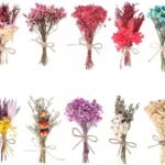 10 Pack Dried Flowers Bouquet Colorful Natural Boho Flowers Plant Bundles Mini Real Dried Flowers with Stems Dried Roses Babysbreath Bouquet for DIY Craft Vase Gift Card (Different Series)