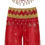 JanJean Kids Girls Belly Dance Outfits Indian Princess Sequin Crop Top with Bloomers Pants Fancy Party Dress Up