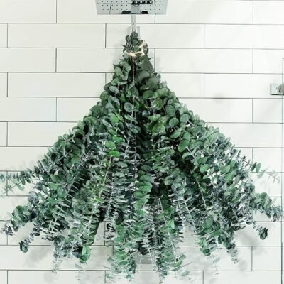 Large Package Dried Preserved Eucalyptus Stems Shower Bundle, 30 Pcs 17